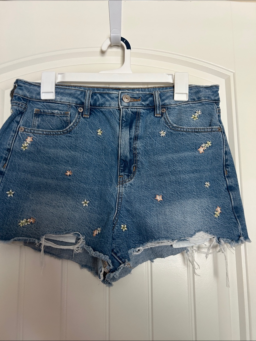American Eagle Outfitters Embroidered Light Blue Denim Shorts